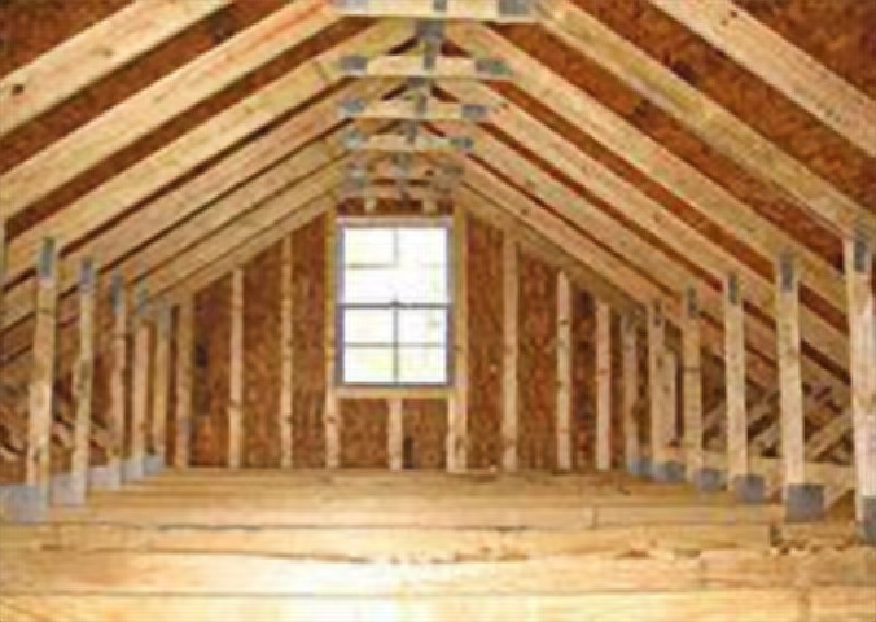 Inspecta-Shield fire retardant for exposed timbers