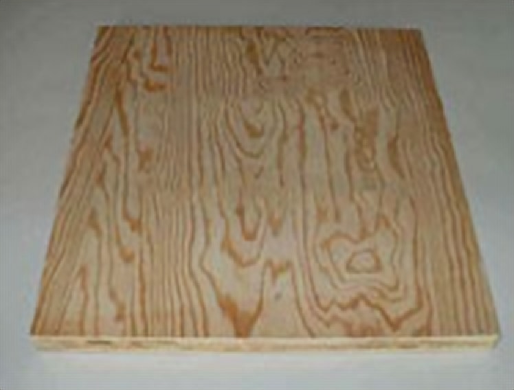 Inspecta-Shield fire retardant for plywood